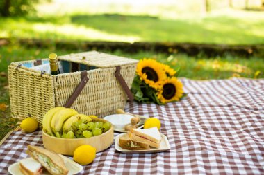 doğada piknik, yakın plan detaylar, peynir ve şarap, sandviçler, meyve ve ayçiçeği, camembert peyniri, yaz ve sonbahar pikniği şehir dışında, ekose, ayçiçeği