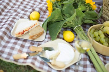 doğada piknik, yakın plan detaylar, peynir ve şarap, sandviçler, meyve ve ayçiçeği, camembert peyniri, yaz ve sonbahar pikniği şehir dışında, ekose, ayçiçeği
