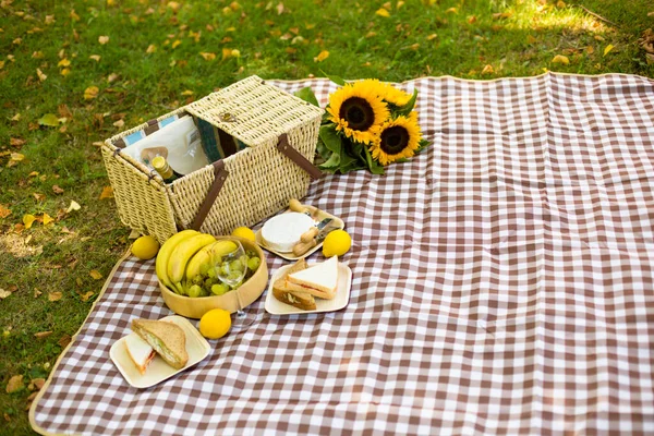 picnic in nature, close-up details, cheese and wine, sandwiches, fruit and sunflower, camembert cheese, summer and autumn picnic outside the city, plaid, flowers sunflowers