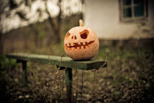 Pumpkin with carved eyes and mouth on old wooden bench on background of ruins of house. Decor for Halloween.