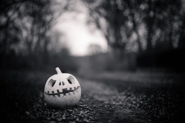 Pumpkin with carved eyes and mouth on road against background of trees. Decor for Halloween. Scary forest. Black-and-white toning