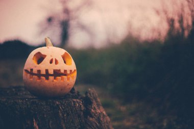 Pumpkin with carved eyes and mouth on the stump. Decor for Halloween. Scary forest.