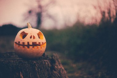 Pumpkin with carved eyes and mouth on the stump. Decor for Halloween. Scary forest.
