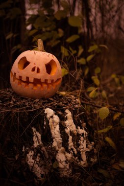 Pumpkin with carved eyes and mouth on the stump. Decor for Halloween. Scary forest. arved pumpkins into jack-o-lanterns for halloween.