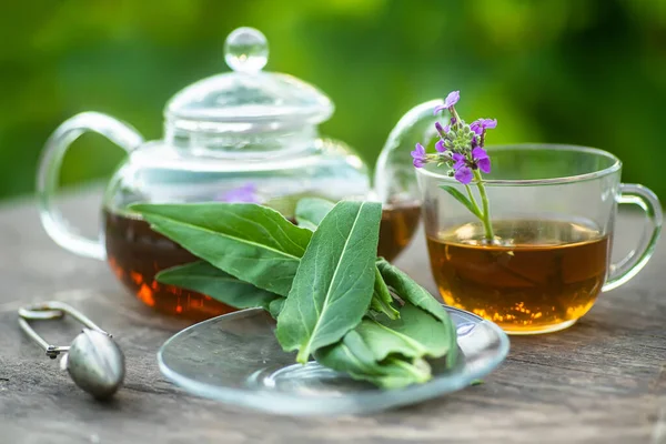 cup of herbal tea with fresh leaves and flowers Matthiola incana, Brompton stock, common stock, hoary stock, ten-week stock, and gilly-flower tea with fresh quotes, which can give an antiseptic effect
