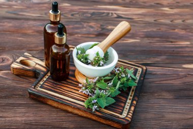 Lamium album, white nettle or white dead-nettle Flowers in mortar. Preparation of elixirs from medicinal herbs by herbalists. Essential oil in pharmacy bottle with pipette at cosmetologist in salon