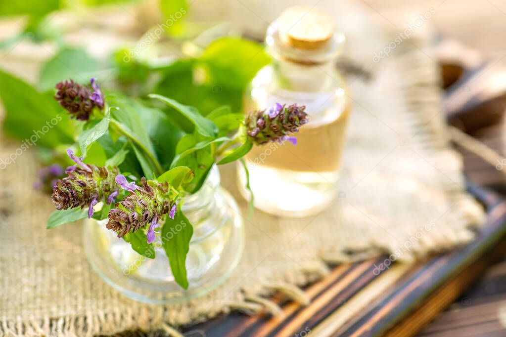 Prunella vulgaris, selfheal, carpenter's herb purple flower tincture