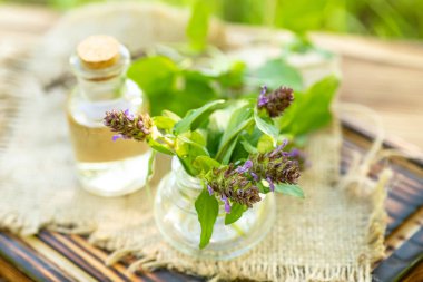 Prunella vulgaris, kendini iyileştirme, marangozun mor çiçek tentürü kurumaya, çay ve aşılamaya hazır. Kozmetik ve alternatif tıpta kullanmak için kullanışlı bir bitki.