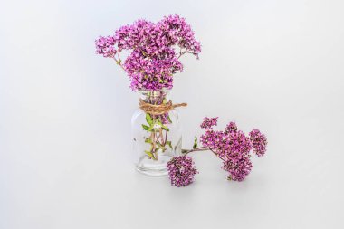 Oregano, Origanum vulgare 'nin çiçeklerini çiçek açtığı andan itibaren topla ve kurutmaya başla. Beyaz arka planda izole edilmiş temiz şişe. Alternatif tıp. Bitkisel konsept, Kırpma maskesi