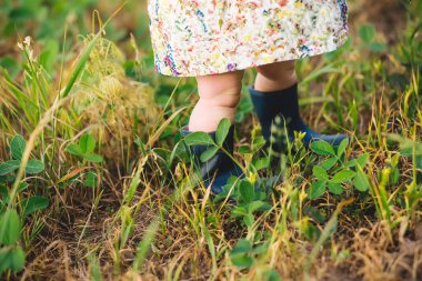 Genç soya fasulyelerinin arasında lastik çizmeli bir çocuk. Glicine maksimum, soya fasulyesi. Lambsquarters soya fasulyesi filizleri tek bir arta kalmayan otçul tarlasında yetişiyor. Ot kontrolünün kritik dönemi