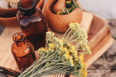 Immortelle, Curry Plant, Herb of St. John, Immortelle ve botanik olarak, Helichrysum arenyumu. Homeopati. Bitkibilimci kitabındaki eski tarifler. Doğal sağlığın ve kendine bakmanın eczacısı..