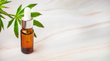 CBD Oil , Green leaves of medicinal cannabis with extract oil, Medical Use of Marijuana. Hemp oil in glass bottles