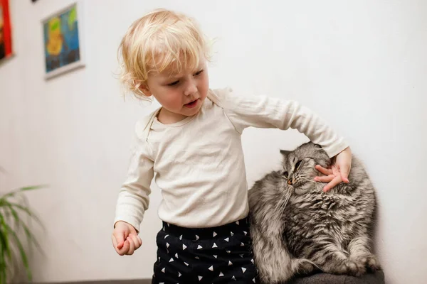baby plays with her cat at home. Communication of old animals and children. Toddder torments animal