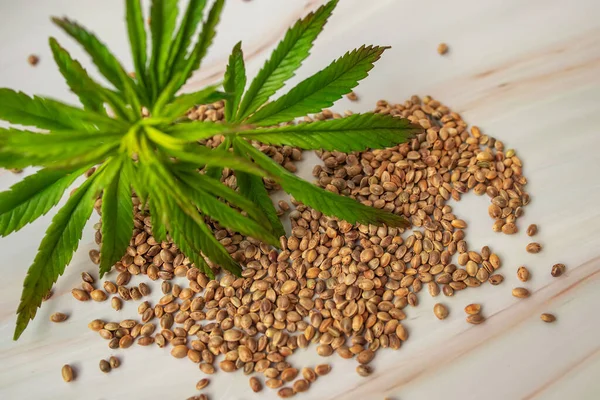 Hemp seeds, ingredients for vegan supplements, CBD products. The concept of growing cannabis for medical and cosmetic purposes. Marijuana in the food industry.
