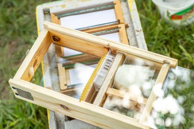 Arıcı elinde küçük bir Nucleus ve genç bir kraliçe arı tutuyor. Kraliçe arıların üremesi. Bal petekli arı kovanları. Suni döllenme için hazırlık. Doğal ekonomi. Kraliçe Arı Kafesleri