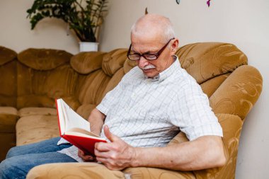 Bir odada kanepede oturmuş akademik kitap okuyan son sınıf yakışıklı bir bilgenin portresi. Gülümseyen olgun 60 'lı yılların beyaz adamı aile incilini kırmızı kapaklı okuyor. Yaşlı adam yaşlılıkla onurlu bir şekilde tanışır.