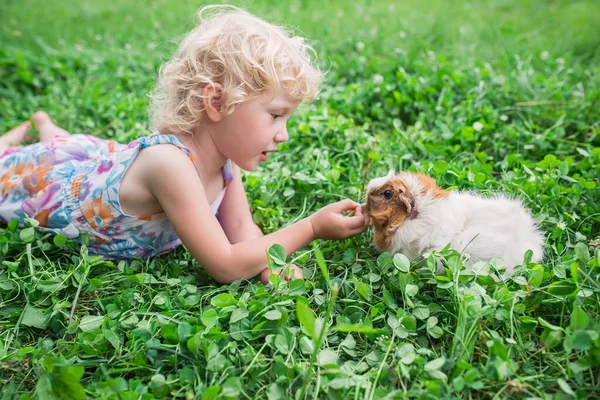 Маленькая Девочка Играет Подопытным Кроликом Летом Клеверном Поле Здоровое Питание — стоковое фото