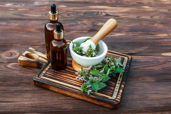 Lamium album, white nettle or white dead-nettle Flowers in mortar. Preparation of elixirs from medicinal herbs by herbalists. Essential oil in pharmacy bottle with pipette at cosmetologist in salon