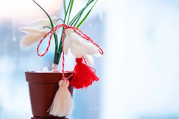 Holiday 1 March. White snowdrops Galanthus nivalis in a pot on a blue background with martisor mascot. Symbol of spring and Baba Marta in Moldova