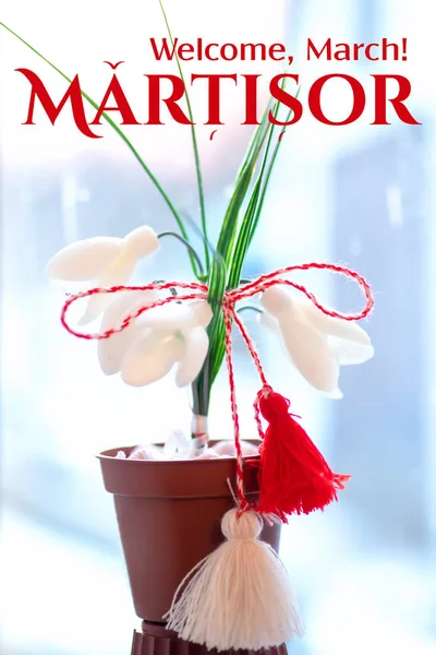 symbol of spring and the holiday of Baba Marta in Bulgaria, Romania and Moldova. Traditional accessory martisor, a red and white good luck charm on a bouquet of snowdrops Galanthus nivalis