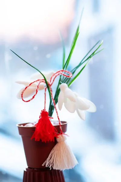 symbol of spring and the holiday of Baba Marta in Bulgaria, Romania and Moldova. Traditional accessory martisor, a red and white good luck charm on a bouquet of snowdrops.