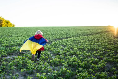 Sarı mavi Ukrayna bayrağı ezilmiş buğday tarlasında koşan kızın ellerinde. Ukrayna bayrağı taşıyan mutlu çocuk. Bağımsızlık Günü. Bayrak Günü. Anayasa Günü