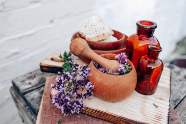 Oregano, Origanum vulgare 'nin çiçeklerini çiçek açtığı andan itibaren topla ve kurutmaya başla. Tatlı Marjoram 'ın çıkarılması ve temiz şişede eritilmesi. Alternatif tıp Bitkisel konsept