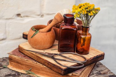 Immortelle, Curry Plant, Herb of St. John, Immortelle ve botanik olarak, Helichrysum arenyumu. Homeopati. Bitkibilimci kitabındaki eski tarifler. Doğal sağlığın ve kendine bakmanın eczacısı..