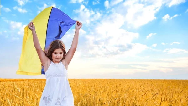 Моліться Україну Дівчина Українським Прапором Стоїть Сіно Березі Дитина Війни — стокове фото