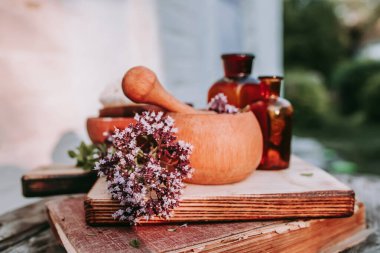 Oregano, Origanum vulgare 'nin çiçeklerini çiçek açtığı andan itibaren topla ve kurutmaya başla. Tatlı Marjoram 'ın çıkarılması ve temiz şişede eritilmesi. Alternatif tıp Bitkisel konsept