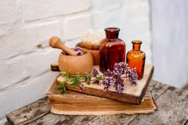 Oregano, Origanum vulgare 'nin çiçeklerini çiçek açtığı andan itibaren topla ve kurutmaya başla. Tatlı Marjoram 'ın çıkarılması ve temiz şişede eritilmesi. Alternatif tıp Bitkisel konsept