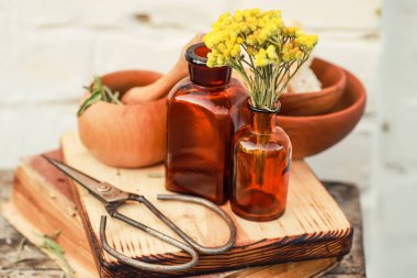 Immortelle, Curry Plant, Herb of St. John, Immortelle ve botanik olarak, Helichrysum arenyumu. Homeopati. Bitkibilimci kitabındaki eski tarifler. Doğal sağlığın ve kendine bakmanın eczacısı..