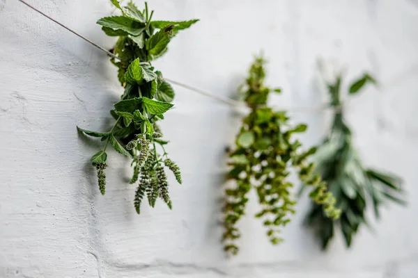 Lemon balm, Melissa officinalis, balm, common balm, or balm mint. Salvia officinalis, common sage, just sage, Mentha suaveolens, apple mint, pineapple mint, woolly mint or round-leafed mint dried by grasshopper on a brick wall. Preparation of medicin