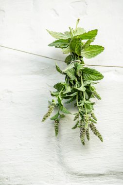 Mentha suaveolens, elma nanesi, ananas nanesi, yünlü nane ya da bir otçulla kurutulmak için asılmış yuvarlak yapraklı nane. Alternatif tıp iksirini hazırlamak için şifalı bitkilerin hazırlanması. Aromaterapi ve bitkisel çay malzemeleri..