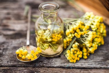 july arenarium in a spoon, helichrysum arenarium, dwarf everlast, immortelle, curry plant, italian strawflower apothecary bottles with tincture and essential oils for beauty salons and alternative
