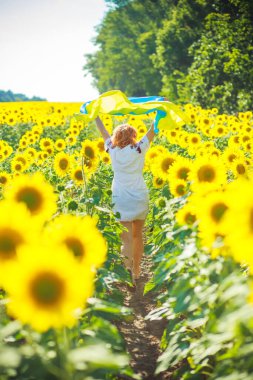 Ukrayna 'nın sarı-mavi bayrağını taşıyan kadın. Nakışçı kız, sapkınlık tarlasında koşar. Ukrayna 'nın Bağımsızlık Gününde Eğlence.