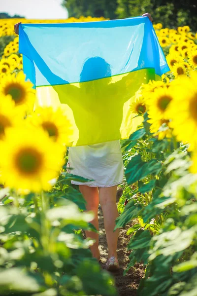 ウクライナの黄青色の旗を持つ女性 刺繍の女の子は遺伝学の分野に沿って実行されます ウクライナ独立記念日の楽しみ — ストック写真