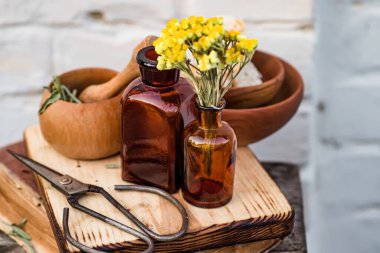 Immortelle, Curry Plant, Herb of St. John, Immortelle ve botanik olarak, Helichrysum arenyumu. Gereken yağ için boş cam eczane şişelerinin yanında. Doğal kozmetik ve güzellik konsepti