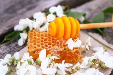 Honey Dipper, Bal Çubuğu bal peteğinde kesilmiş taze bal parçasının üzerinde yatıyor. Akasya balı ahşap arka planda. Bahar havası. Seçici odak.
