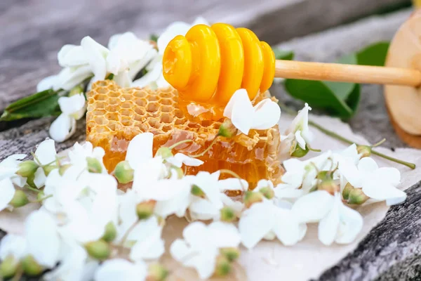 新鮮な蜂蜜のスライスが座って黄色のハニカムとボウルアカシアの花 — ストック写真