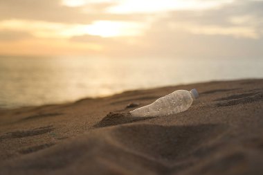 PET Plastik şişe çöpü sahil sahilinde