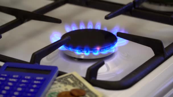 Shortage Gas Crisis Money Calculator Background Burning Gas Stove — Stock Video