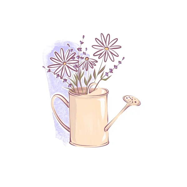 菊花和薰衣草花束在水壶里 — 图库照片