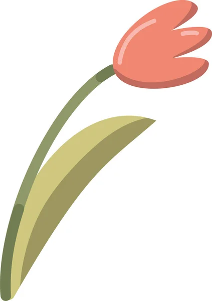 Primavera Floral Tulipa Vetor Objeto Isolado — Vetor de Stock