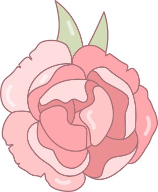 Tasarım, dekorasyon ve kartlar için pembe şakayık çiçeği. İzole vektör nesnesi