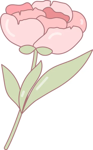 Fleur Pivoine Rose Pour Design Décoration Cartes Objet Vectoriel Isolé — Image vectorielle