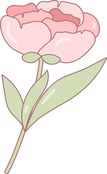 Flor Peonía Rosa Para Diseño Decoración Tarjetas Objeto Vector Aislado — Vector de stock