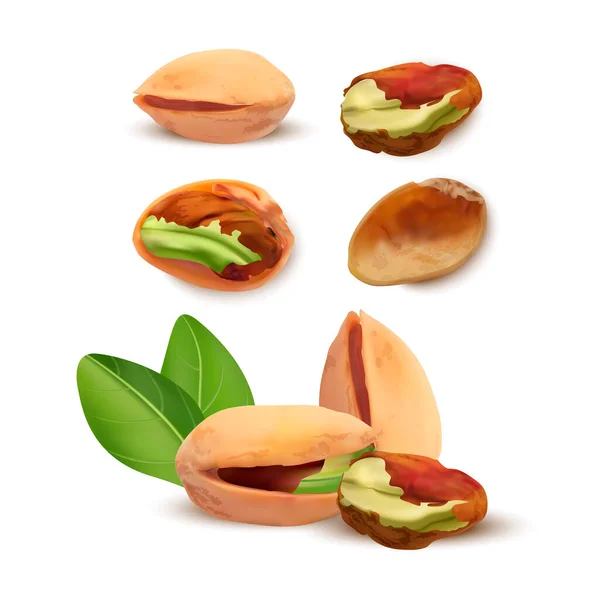 Realista detallado 3d diferente conjunto de pistachos. Vector — Archivo Imágenes Vectoriales