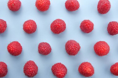 Mavi arka planda ahududu deseni. Düz yaz meyveleri - kırmızı ahududular. Yaratıcı minimalizm