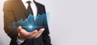 İş geliştirme, finansal plan ve strateji. Maliye grafiği ve piyasa çizelgesi yatırımlarının analizi. Dijital ekonomi değişimi. Geliştirme ve büyüyen büyüme planı. Piyasa yatırımları. Bankacılık